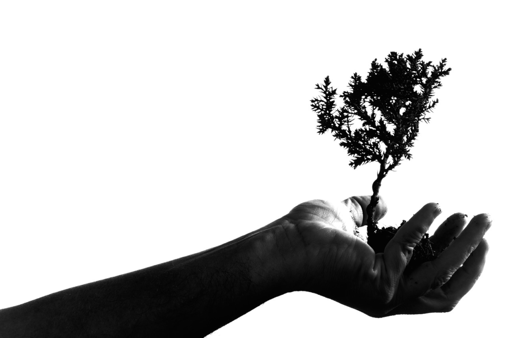 a wealth mindset and a poverty mindset